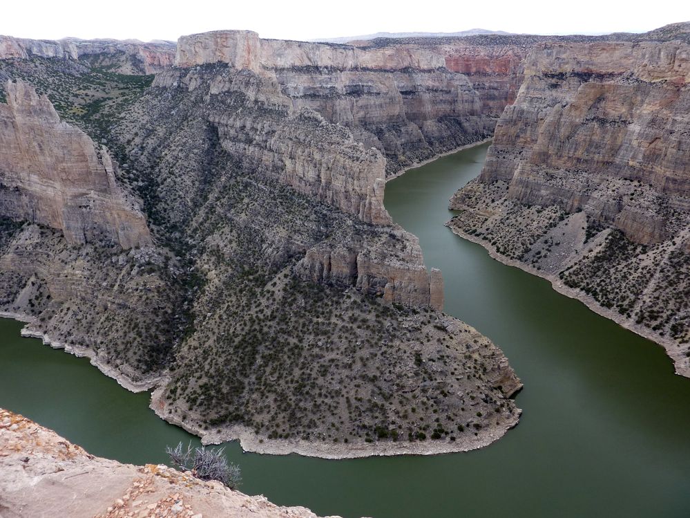 Big horn N.P_13.JPG